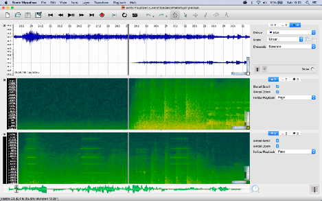 Spettrogramma - Squilli di telefono