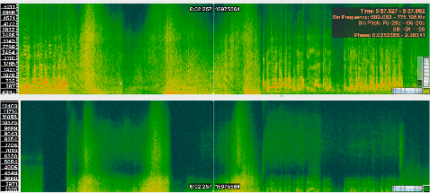 Spettrogramma - Frecce Tricolori