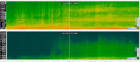 Spettrogramma - Loop voci